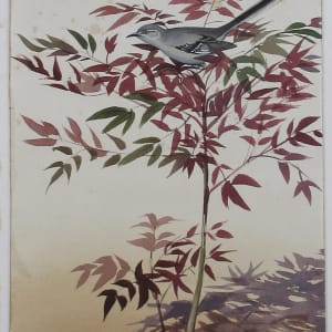 Mockingbird in the Nandina - Front by Stanislaus Sowinski