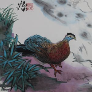 Malay Argus Pheasant by Kwan Y. Jung