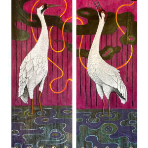 Whooping Cranes by Sarah Stone