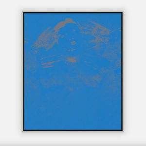 Silencer (BLUE) by Chris Horner 