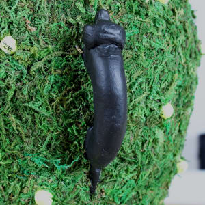 Fetch Vase by Kathy  Halper, Image 4.