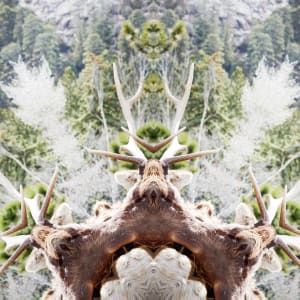 Healing Spirit Mandala Elk with Old Man Mountain by Annette