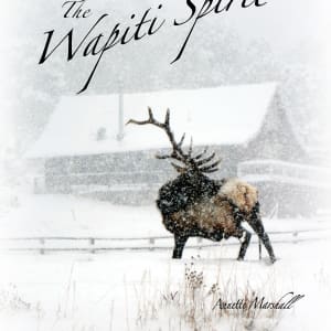 Wapiti Spirit Stories Membership by Annette