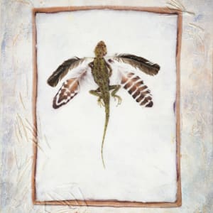 Wings of the Wind by Judith Monroe