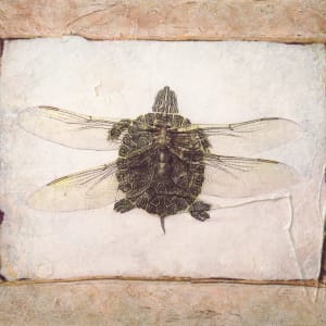 When Turtles Dream by Judith Monroe