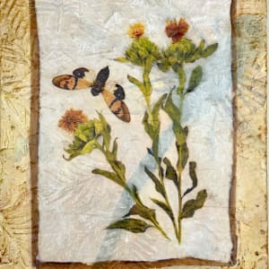 Seasons Change by Judith Monroe