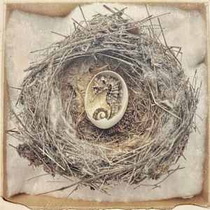 Divergent by Judith Monroe