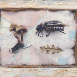 Be Still #87 by Judith Monroe