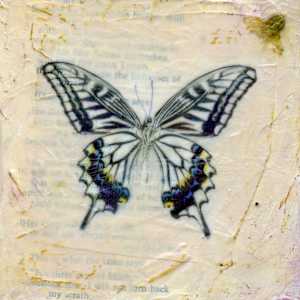 Butterfly Collection #20 by Judith Monroe, Image 2.