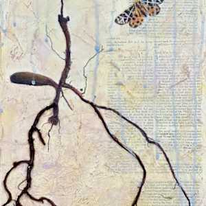 Mercy by Judith Monroe, Image 1.
