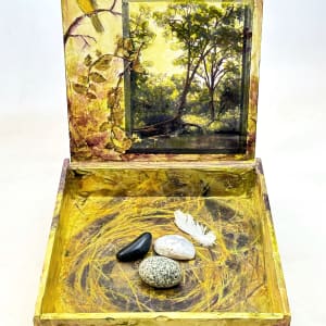 Nesting Box by Judith Monroe