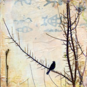 Jubilance by Judith Monroe