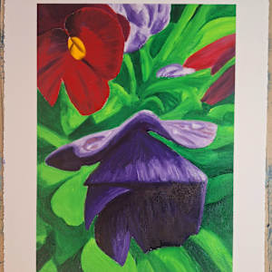 Pansies by Amy Townsend