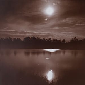 Moonlight by Tom Rozakis