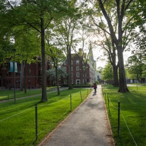 Harvard Yard-1