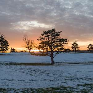 Snowscape Panorama 2, Pittsburgh (2024) by Sanjay Marathe
