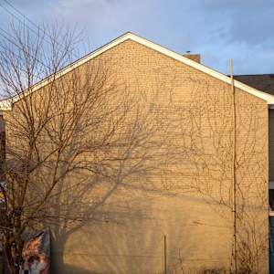 Shadows On A Wall-1 (2025) by Sanjay Marathe