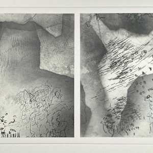 IN SILENT CONVERSATION by Roxie Johnson 