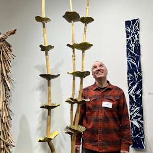 Bowl Tree by Bill Cohn, Image 6.