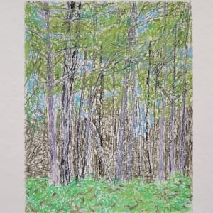 Ferns and Trees in Two Greens by Susan G Abbott