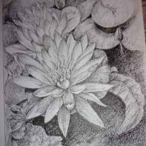 Flowers IV by Ada Monica Sperling