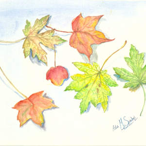 Leaf and Shadow by Ada Monica Sperling