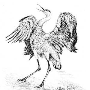 Trumpeting Crane by Ada Monica Sperling