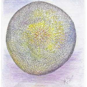 Thought