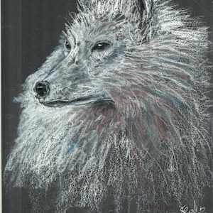 Winter Wolf by Ada Monica Sperling