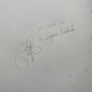 The Lagoon Nebula by Mark Stafford 