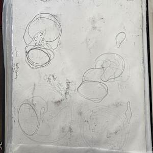 Conflicts Precipitate Change by Mark Stafford 