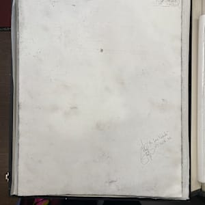 The Cone Nebula by Mark Stafford