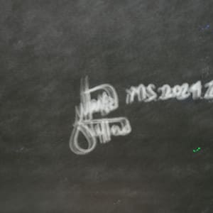 Panspermia by Mark Stafford 