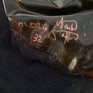 Always Look on the Bright side of Life by Mark Stafford 