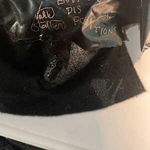 Entangled Dispositions by Mark Stafford 