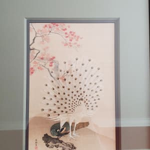 Albino Peacock by China (artist unknown)