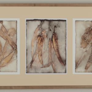 Blue Gum Leaves by Ginny Retmock