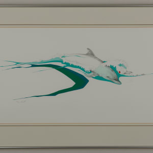 Dolphins by Peter Parnell