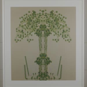 Mr. William Lives by Rebecca Niederlander