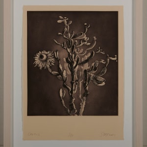 Cactus by Stas Orlovski