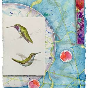 Hummingbird Sanctuary, Black Chinned by Kathleen O'Brien