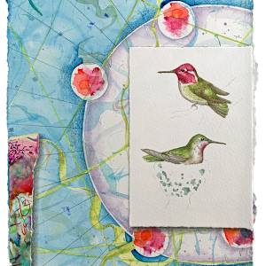 Hummingbird Sanctuary, Anna's by Kathleen O'Brien