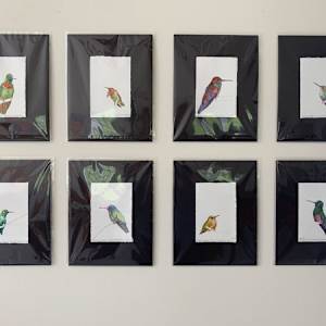 Hummingbird Joy, Gould’s Jewelfront by Kathleen O'Brien 