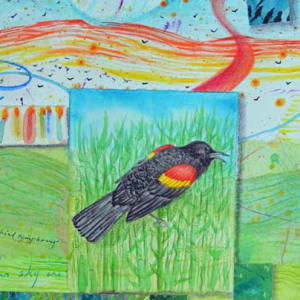 Birthday Party with Red-winged Blackbird Symphony, Robin Solo  Image: Birthday Party with Red-winged Blackbird Symphony, Robin Solo, detail