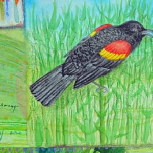 Birthday Party with Red-winged Blackbird Symphony, Robin Solo  Image: Birthday Party with Red-winged Blackbird Symphony, Robin Solo, detail