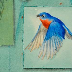 Talisman for Eastern Blubirds by Kathleen O'Brien, Image 4.