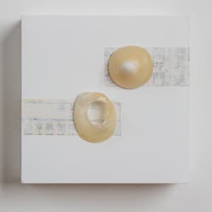 Shell by CLaire Renaut