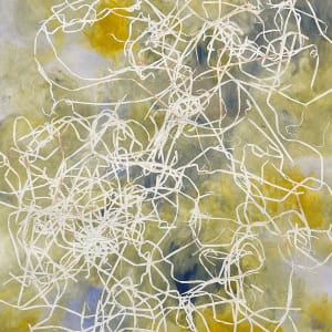 miles&miles of plastic fishinglines by Pat Goslee, Image 1.