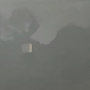 Window Across the Canyon, N. Micheltorena St. by Ellen Hamilton O'Donnell
