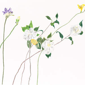 Flower Family 2 by Ellen Hamilton O'Donnell